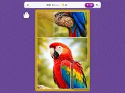 Jigsolitaire Puzzle