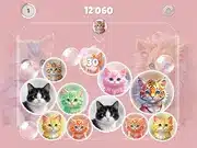 Merge Master Kittens