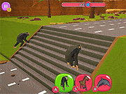 Animal Transform Race