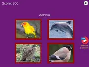 Guess The Pet World Edition