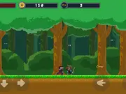 Ninja Warrior Adventure