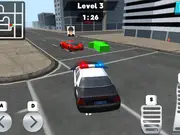 Police Officer Crime City