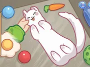 Sara Vet Life Ep11 Ferret