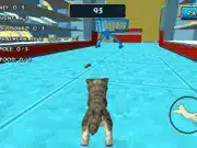 Cat Simulator Kitty Craft