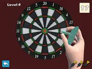 Darts Master