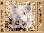 Jigsaw Puzzle Deluxe