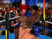 Ultimate Boxing