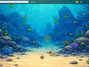 Path of the Predator Evolution Underwater