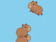 Capybara Stack - Popular Gameplay on DGAMES