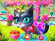 Happy Cat - Popular Gameplay on DGAMES