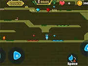 Fireboy And Watergirl Online - Puzzle Gameplay on DGAMES