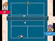 Super Pickleball Adventure - Popular Gameplay on DGAMES